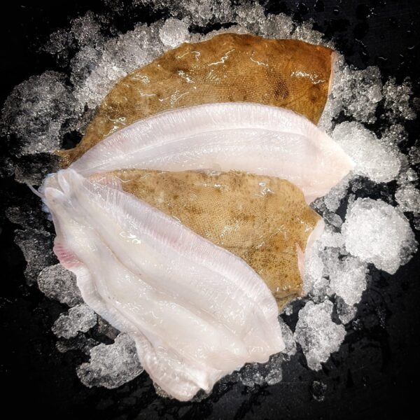 Lemon sole