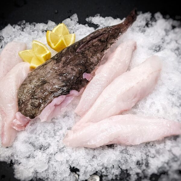 Monkfish