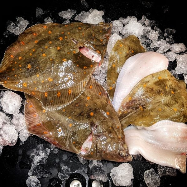 Plaice
